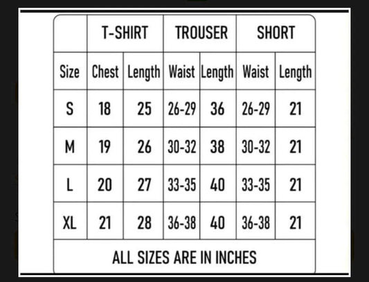 2 Pcs Men's Jersey Printed T-Shirt & Shorts Tracksuit